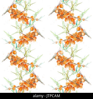 Watercolor sea buckthorn Stock Photo