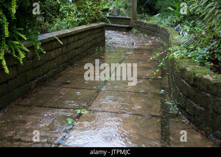 Rain Falling in Puddles on a paved pathway Stock Photo