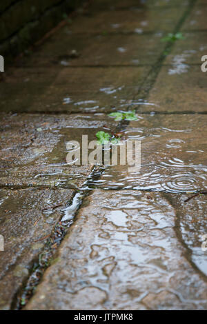 Rain Falling in Puddles on a paved pathway Stock Photo