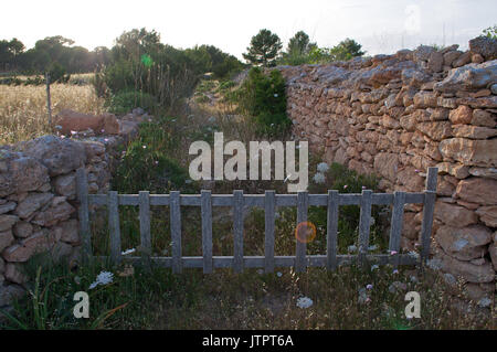 An old wood fence closes a track made with traditional stonewalls at La Mola (Formentera, Balearic Islands, Spain) Stock Photo