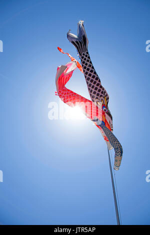 Colourful Koinobori Carp Kites against a clear blue sky at the Asagiri Highlands with Mt. Fuji in the background in Japan Stock Photo