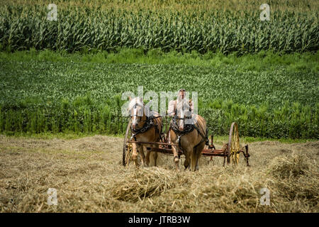 Harvest, thresher days, displays and recreation of antique farming equipment and techniques in Lancaster County. Stock Photo