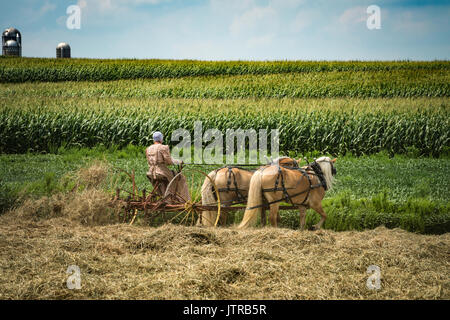 Harvest, thresher days, displays and recreation of antique farming equipment and techniques in Lancaster County. Stock Photo