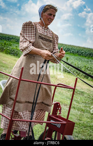 Harvest, thresher days, displays and recreation of antique farming equipment and techniques in Lancaster County. Stock Photo