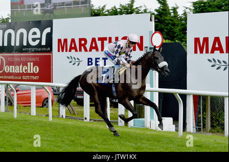 Brighton, UK. 10th Aug, 2017. Macaque ridden by David Probert wins the Racey McRace Race at Brighton Races Route Mobile Ladies Day during the three day Maronthonbet Festival of Racing Credit: Simon Dack/Alamy Live News Stock Photo