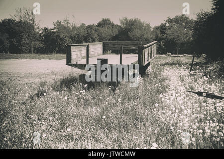 An old tractor trailer stands on a wild meadow and is overgrown. Stock Photo