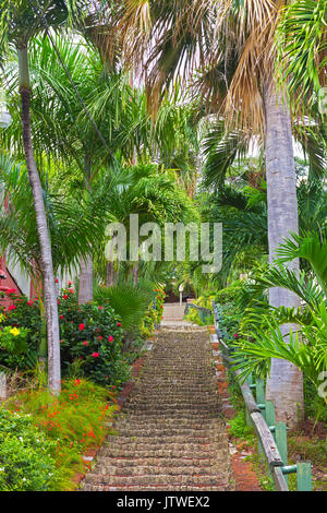 The 99 steps in Charlotte Amalie, St Thomas, USVI. The picturesque stairways with flowers and palm trees on both sides. Stock Photo