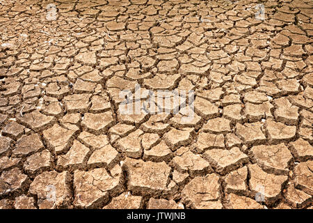 brown texture of  polygons of desiccation caused by drought Stock Photo