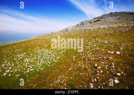 Simple view of  upland landscape  in summer day.  Navarre,  Spain Stock Photo