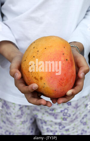 Close up of a ripe Mango Stock Photo