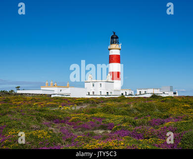 Main Lighthouse at Point of Ayre Stock Photo