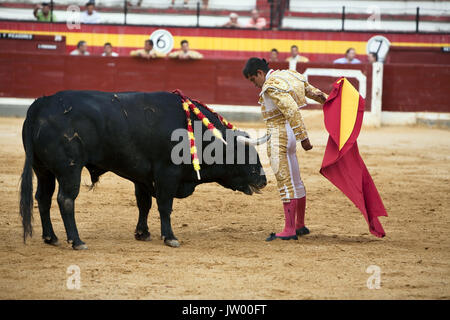 Mexican toreador Joselito Adame during a bullfight, very close to the bull, Andalusia, Spain Stock Photo