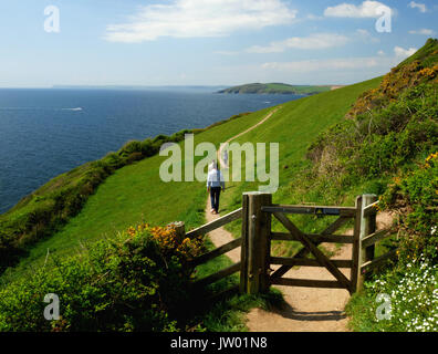 The coastal path between Lantivet Bay and Polruan in Cornwall, looking towards The Gribbin near Fowey. Stock Photo