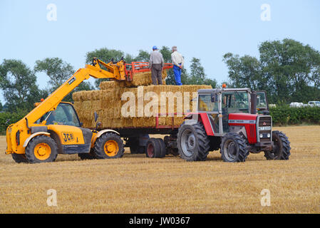 farmer loading straw bales onto trailer at harvest time ellerton yorkshire united kingdom Stock Photo