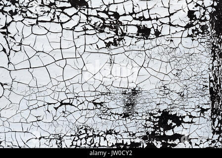 A close-up of old cracked white paint on black background. This is an interesting texture that almost resembles cracked earth Stock Photo