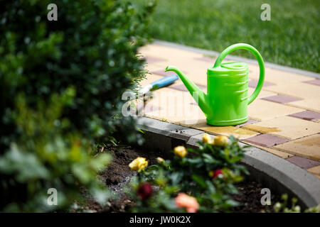 Green plastic water can close up photo near the flowerbed. Stock Photo