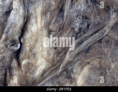 Background from glass wool. Close up image Stock Photo