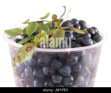 Blueberry in a plastic glass isolated on a white background Stock Photo