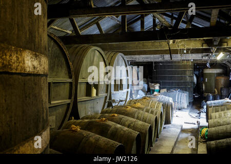 Somerset Cider Brandy, Somerset, UK.  Old cider barrels in the barn Stock Photo