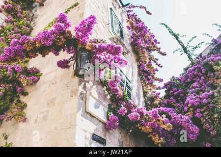 Building with flowers in Diocletian's Palace, Split, Croatia Stock Photo