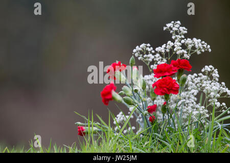 Flowers on a Grave; UK Stock Photo