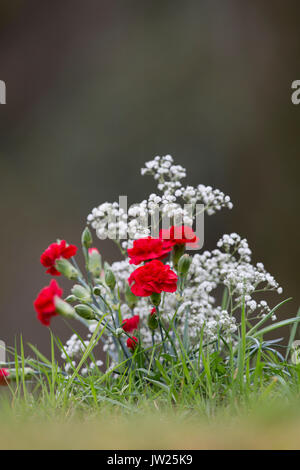 Floral Tribute on a Grave; UK Stock Photo