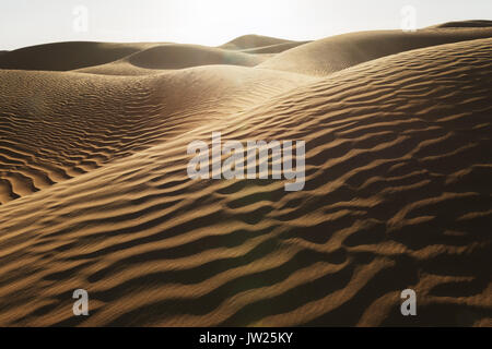Desert sand dunes with dark shadows at sunset in the Sahara desert of Morocco. Stock Photo