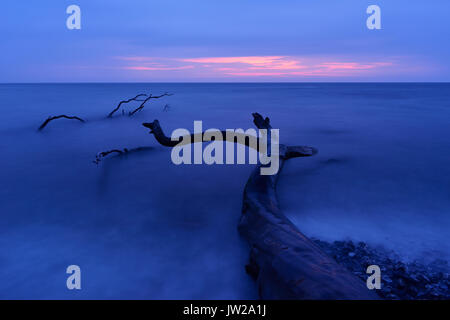 Tree trunk lying on the shore, daybreak at the beach, Baltic Sea near Sassnitz, Island Rügen, Mecklenburg-Western Pomerania Stock Photo