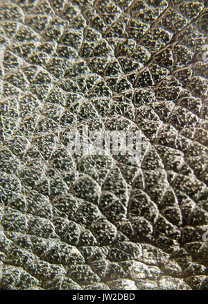 extreme close up of black leather texture; UK Stock Photo