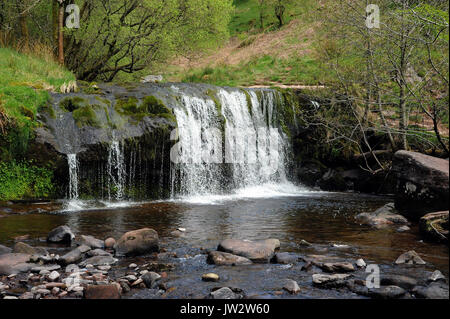 The upper of the two small waterfalls on the Afon Caerfanell near its confluence with the Nant Bwrefwr. Afon Caerfanell. Stock Photo