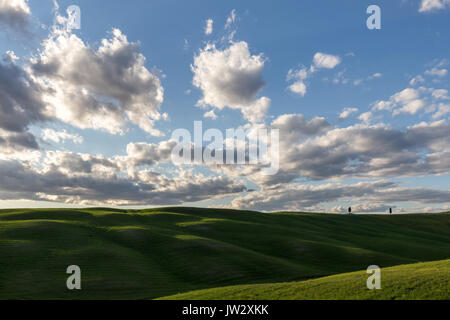 A couple of distant, isolated cypresses on a green hill, under a big blue sky with white clouds, in a typical Tuscany country sceney Stock Photo