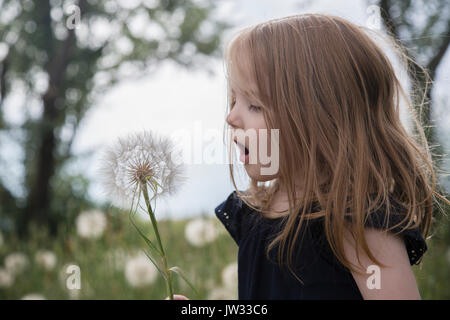 Little girl (4-5) blowing dandelion flower Stock Photo