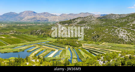 A view of the irrigated agricultural orchards and fields in the delta of the river Neretva in Opuzen, Croatia. Stock Photo