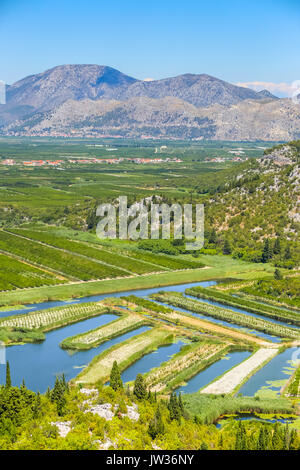 A view of the irrigated agricultural orchards and fields in the delta of the river Neretva in Opuzen, Croatia. Stock Photo