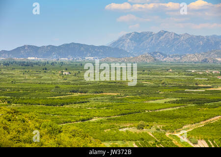 A view of the agricultural orchards and fields in the delta of the river Neretva in Opuzen, Croatia. Stock Photo