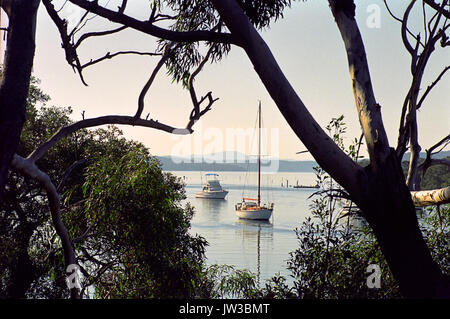 Peaceful moorings in Tilligerry Creek, Lemon Tree Passage, Port Stephens Shire, New South Wales, Australia Stock Photo