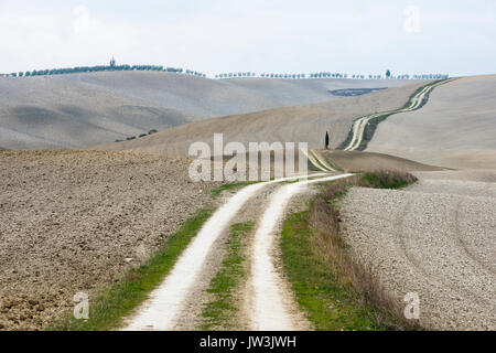 Italy, Tuscany, San Quirico D'orcia, Long twisting rural road leading through endless gray fields and lonely cypress trees Stock Photo