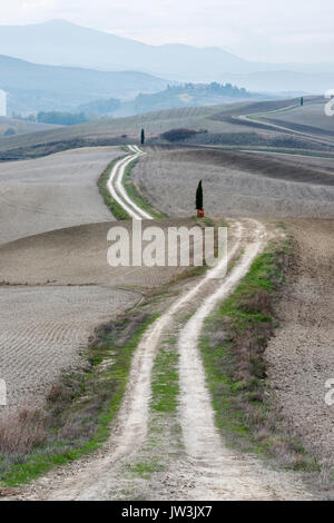 Italy, Tuscany, San Quirico D'orcia, Long twisting rural road leading through endless gray fields and lonely cypress trees Stock Photo