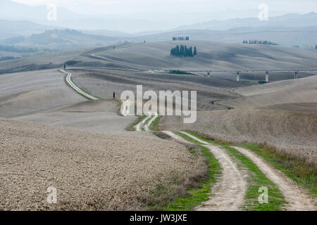 Italy, Tuscany, San Quirico D'orcia, Long twisting rural road leading through endless gray fields and lonely cypress trees Stock Photo