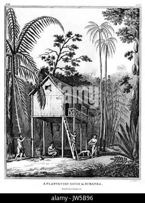 Marsden Pl  III   A Plantation House in Sumatra Stock Photo