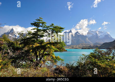 Lake lago pehoe at Torres del Paine national park, Patagonia, Chile Stock Photo