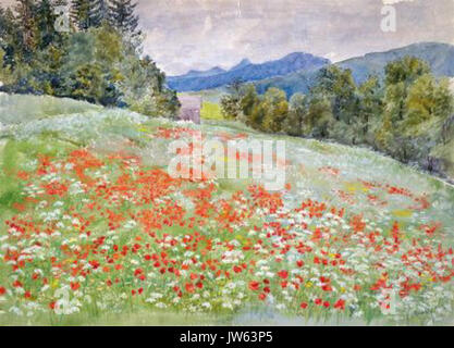 Marie Arnsburg - Mohn-Schirlingwiese Schladming Stock Photo - Alamy