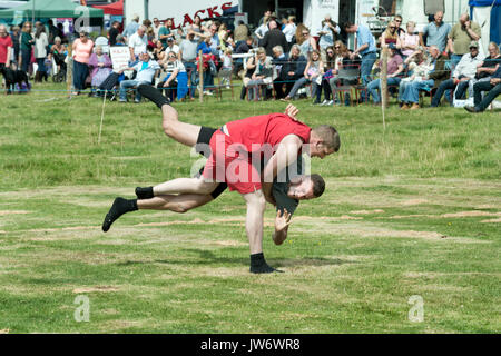 Appleby Show, Cumbria, UK. 10th Aug, 2017. Cumberland wrestling at the annual Appleby Show, Cumbria, UK, 10th August 2017. Credit: John Bentley/17�Թ����� Live News Stock Photo