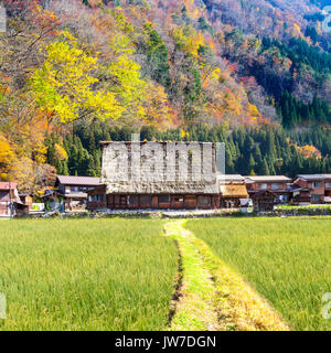 The fall season of Historic Villages of Shirakawa-go and Gokayama, Japan Stock Photo