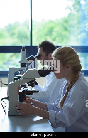 University students doing experiment on microscope in laboratory at college Stock Photo