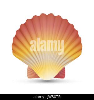 Scallop Seashell Vector. Realistic Scallops Shell Isolated On White Background Illustration Stock Vector