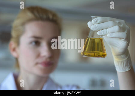 Attentive university student doing a chemical experiment in laboratory Stock Photo