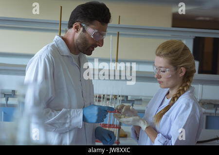 Attentive university students doing a experiment in laboratory Stock Photo