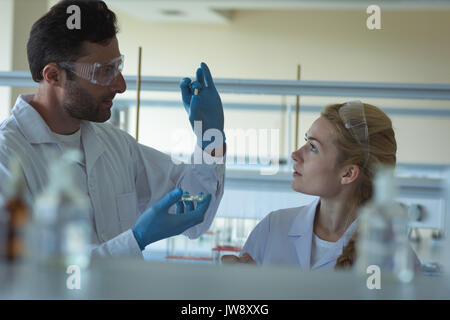Attentive university students doing a experiment in laboratory Stock Photo