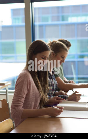 Side view of smiling students studying at desk in classroom Stock Photo